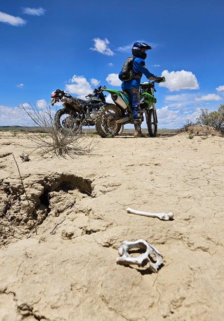 A person on a motorcycle in the desert
AI-generated content may be incorrect.