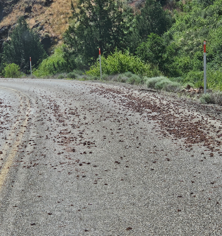 A road with rocks on it
AI-generated content may be incorrect.